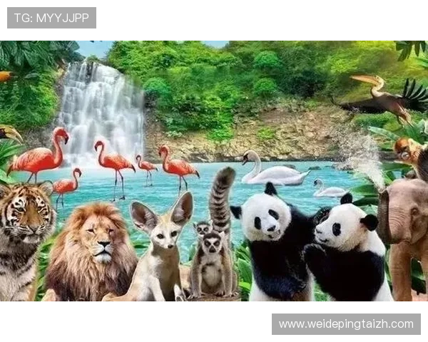 蓝鲸体育运动数据分析：专业数据统计帮助用户提升竞技水平与比赛策略