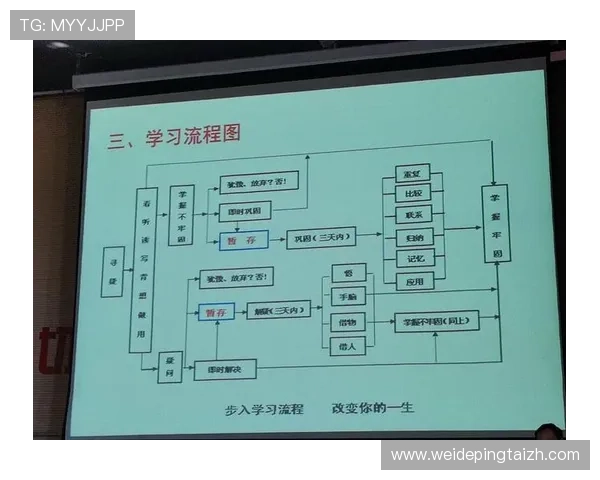 半岛国际开户流程优化建议，提升注册效率与账户安全性